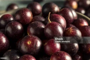 Camu-camu extract to help counter UV-induced oxidative stress.